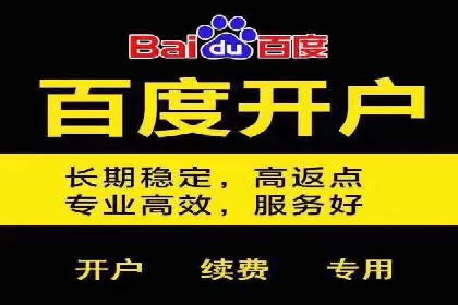 搜索引擎竞价推广：某行业领先企业的成功之路